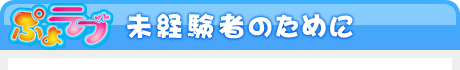 未経験者のために